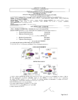 2025-011 – Adoption du CA communal 2024 2025-011 – Adoption du CA communal 2024